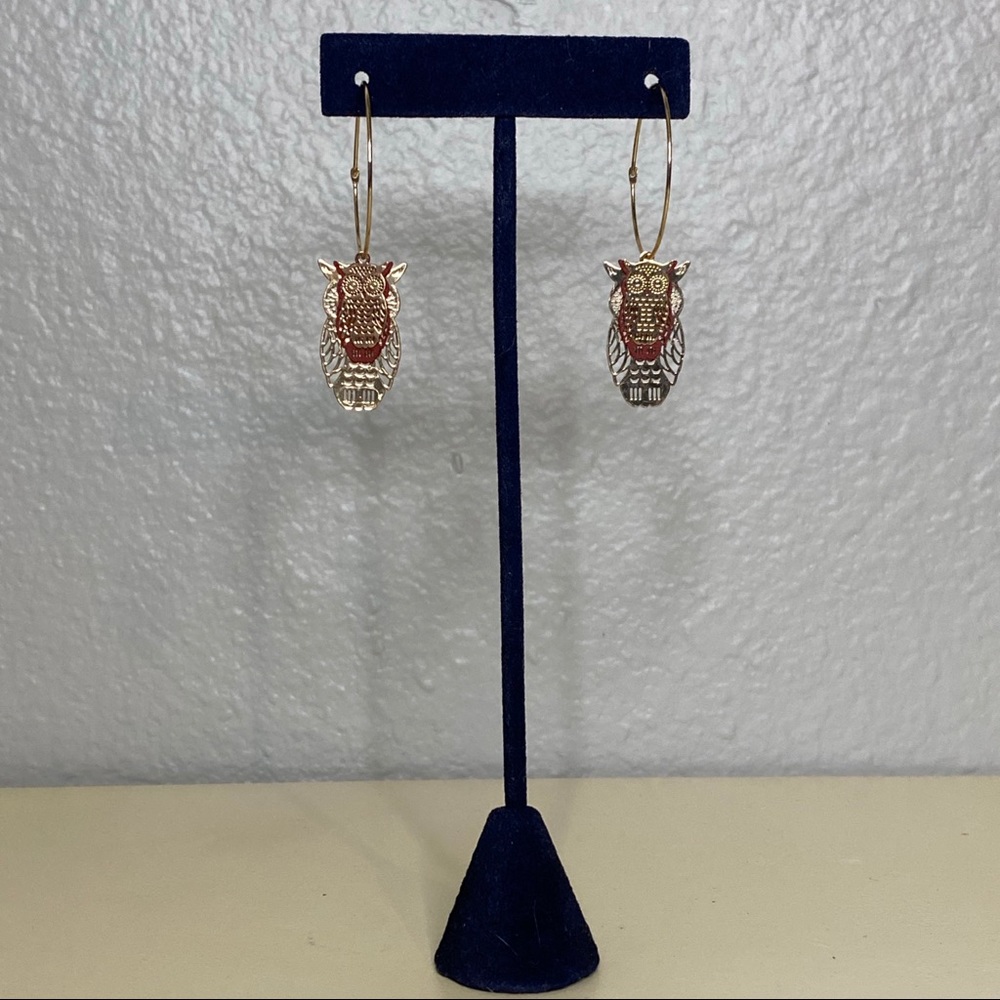 Owl Hoop Dangle Earrings 🦉